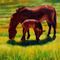 Mongolion-horses