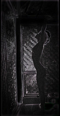 silhouette by Elena BonapArte