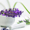 Lavendelquer1