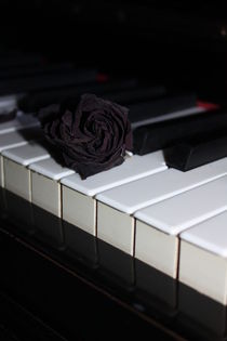 Klaviertasten und schwarze Rose 3 von Edeltraut K.  Schlichting