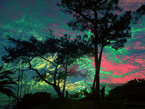 Painted Sky von Robert Ball
