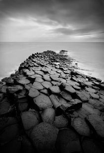 Monochrome Giant's Causeway by Horia Bogdan