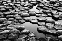 Giant's Causeway rocks by Horia Bogdan