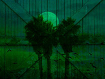 Spooky moon by Robert Ball