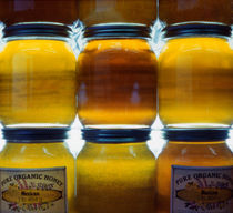 Mexican Honey von Steve Outram