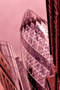 The Gherkin London by David Pyatt