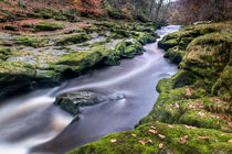 Autumnal Strid by Chris Frost