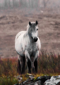 Ride a White Horse by Derek Beattie