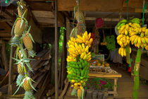 Marktstand mit Bananen und Ananas von Gina Koch