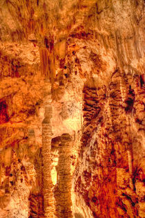 Tropfsteinhöhle in den Rhone Alpes von Gina Koch