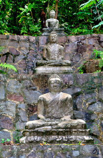 Drei Buddhas im Fels von Gina Koch
