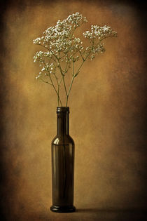 The olive oil bottle by Barbara Corvino