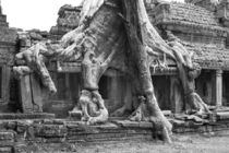 Tempel Ankor Wat von Hanns Clegg