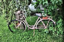 Das Fahrrad von gitana