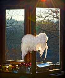 Wings of illumination von Leopold Brix