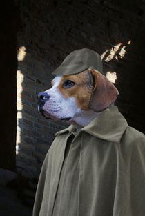 Sherlock Dog - Der Hund von Baskerville by ir-md