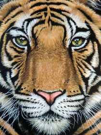 Tiger's Last Roar von Nicole Zeug
