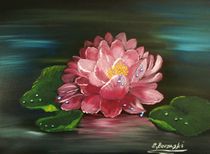Wasserlilie by Eva Borowski