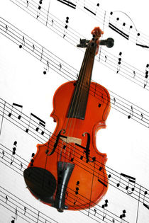 Die Geige von gitana