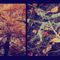 Autumnleaves-triptych-c-sybillesterk
