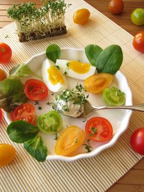 Frischkäsekugel mit Kresse, Tomaten und Ei von Heike Rau