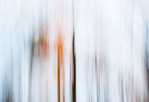 Leuchtende Stille im Wald by Thomas Joekel