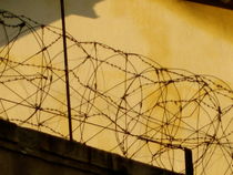 Barbed wire von Benoît Charon