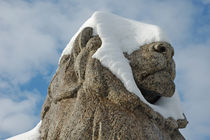 Schneeblinder Löwe aus Stein von Matthias Hauser