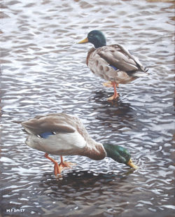 Painting-two-mallard-ducks-standing-in-water