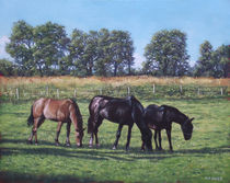 three horses in field by Martin  Davey