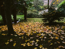 Autumn in Roseland von Louise Heusinkveld