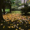 Autumn-in-roseland0735