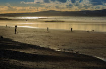 Cornish Beach von Louise Heusinkveld