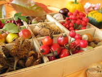 Setzkasten mit Walnüssen, Kastanien und anderen Herbstfrüchten von Heike Rau
