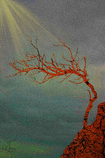 Red Tree by Rozalia Toth