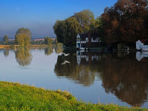 River Thames at Cookham, Berkshire. von Louise Heusinkveld