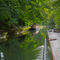 Grand-union-canal0370