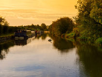 Grand Union Canal at Dawn by Louise Heusinkveld