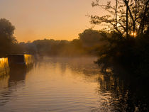 Misty morning on the Grand Union Canal von Louise Heusinkveld