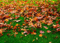 Autumn Leaves von Louise Heusinkveld