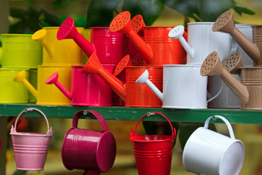Watering-cans0788