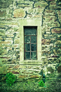 Forgotten window by Tom Gowanlock