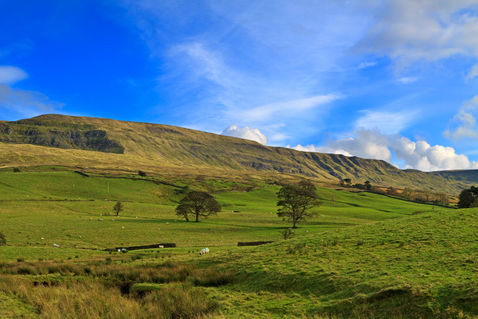 Mallerstang-dale0742