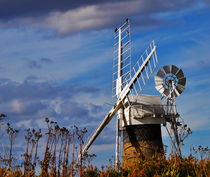 St Benets Drainage Mill, Norfolk von Louise Heusinkveld