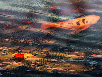 Lonely Koi Pond by Robert Ball