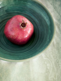 pomegranate by Priska  Wettstein