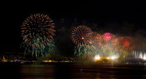 Fireworks  by Evren Kalinbacak