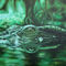 Alligator-bea-green