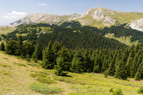 Ilgaz Mountains by Evren Kalinbacak