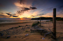 Sunset Fence by Mike Shields